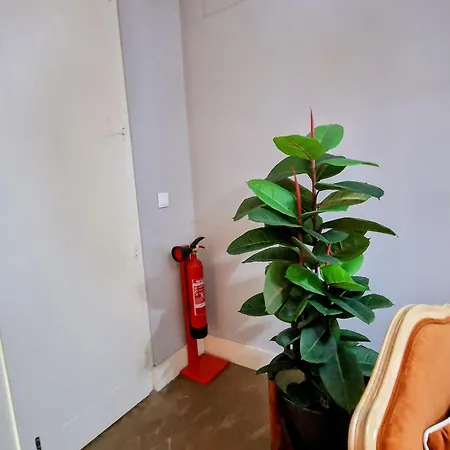 Urban Oasis- Terrace And Space For 4 דירה