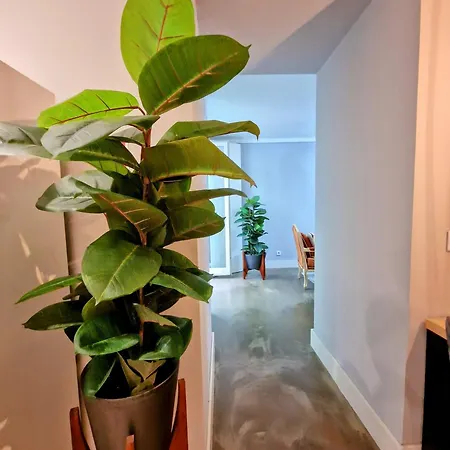 Urban Oasis- Terrace And Space For 4 דירה *