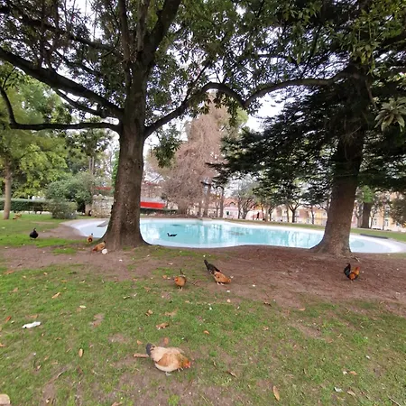 Urban Oasis- Terrace And Space For 4 * ליסבון