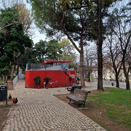 Urban Oasis- Terrace And Space For 4 ליסבון